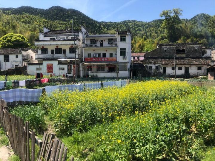 江岭景区自驾游攻略_江岭景区门票价格多少钱_江岭在