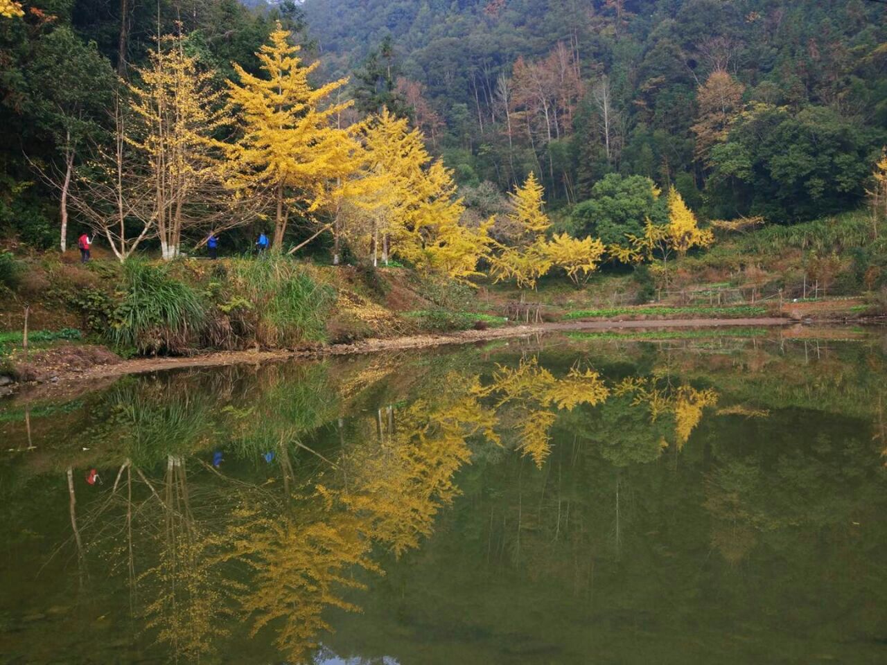 游:韶关丹霞山两天一夜自由行攻略 南雄帽子峰林场坐落在南雄市西北部