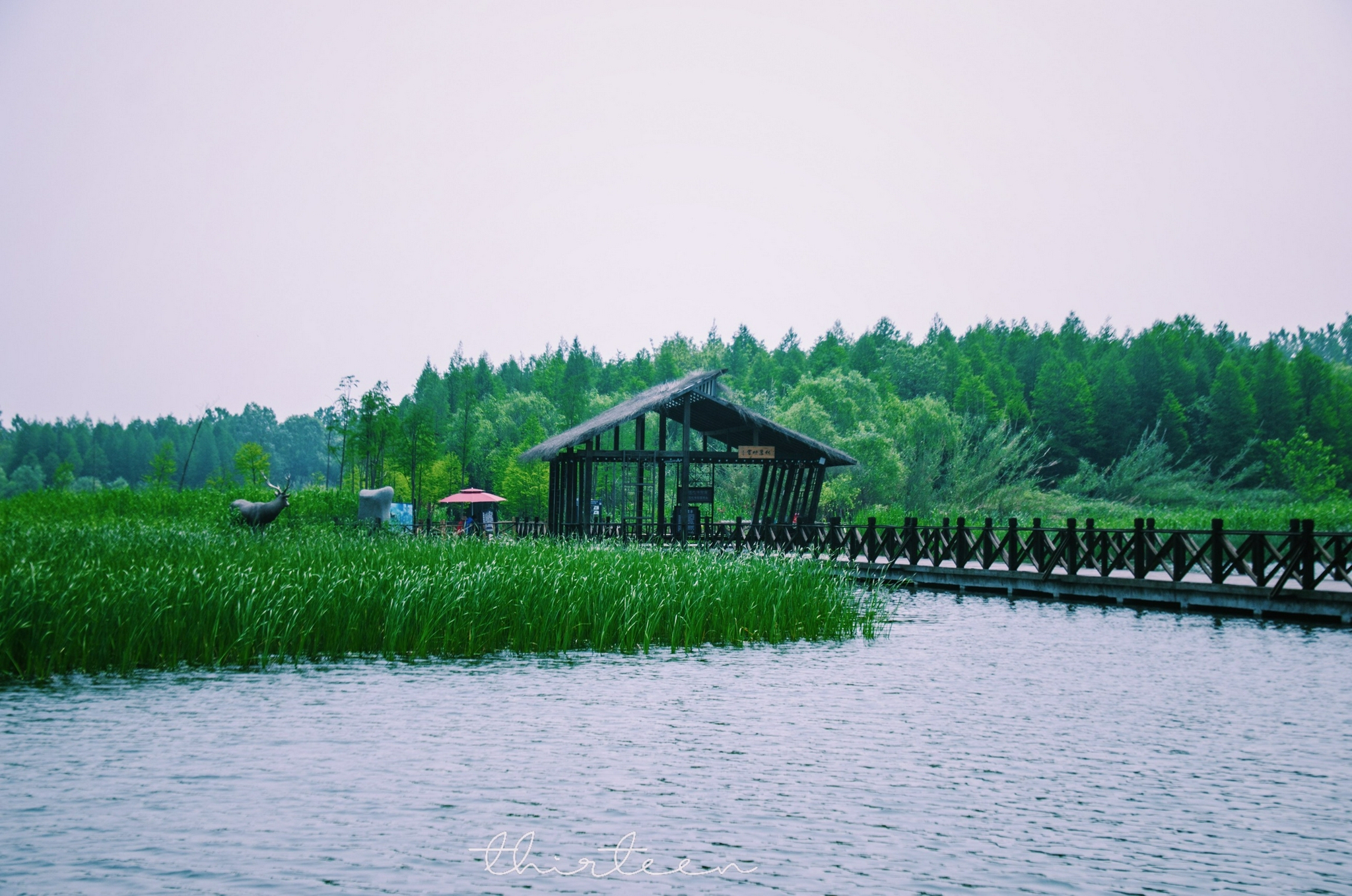 溱湖国家湿地公园