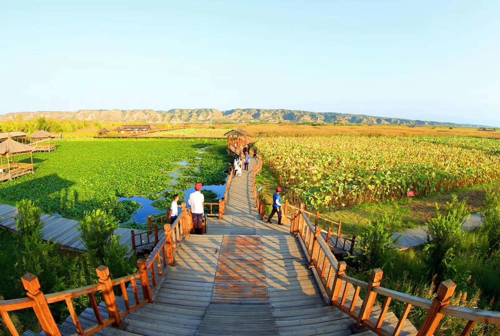 洽川湿地公园