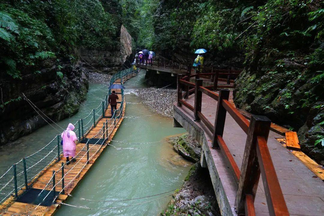 黑山谷景区位于重庆市万盛区景星乡,这里山高林密,是天然的大氧吧