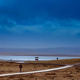 尕海湖是甘南第一大淡水湖，是青藏高原东部的一块重要湿地，被誉为高原上的一颗明珠，1982年被评为省级候鸟自然保护区。尕海湖所在的地域，藏胞称之为“措宁”就是“牦牛走来走去的地方”。尕海湖水草丰茂，许多南迁北返的珍稀鸟类在此落脚和繁殖，黑颈鹤，灰鹤，天鹅等珍禽遍布湖边草滩。