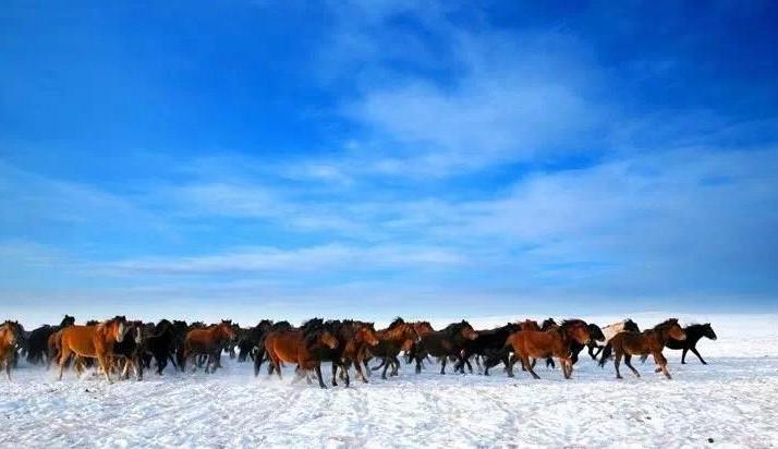 金帐汗草原，敖包山上照相挺好看的。这里有很多蒙古包，还可以骑马，不过觉得太臭了没去体验。
