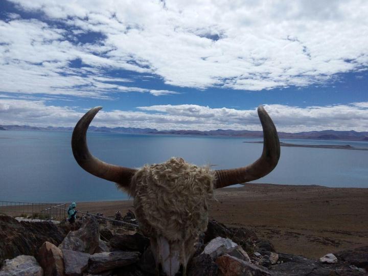 扎日南木错，扎日南木错位于中国西藏自治区藏北措勤县境内。这里的海是蓝色清澈的，还有五颜六色的经幡，巨大的牛头景观地标，蓝色的天空下特别容易出大片。