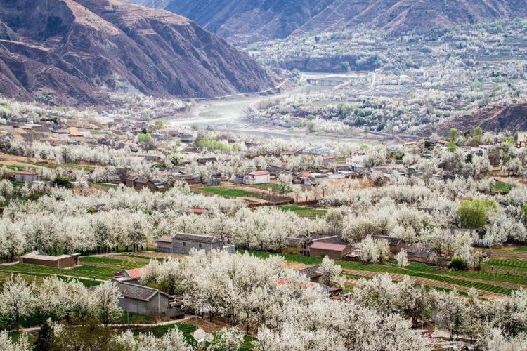 春暖花开之际，携爱人之手，来一场林芝自驾游，去看看雅鲁藏布大峡谷边的桃花，看看索松村里原住民和谐的笑脸。