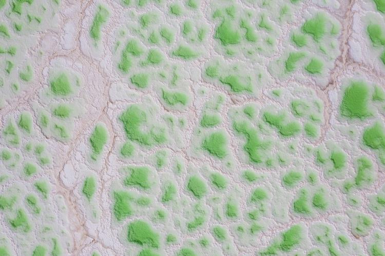 茫崖翡翠湖自驾游，去看到的也的确是翡翠的颜色，特别是在天气好的情况下，这种绿色的话也是比较清澈的那种，景区的范围很大，偌大的一片翠绿很美。