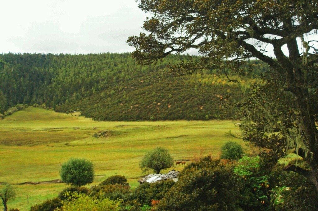 【自驾目的地】寻世外桃源香格里拉，游圣境普达措国家公园 