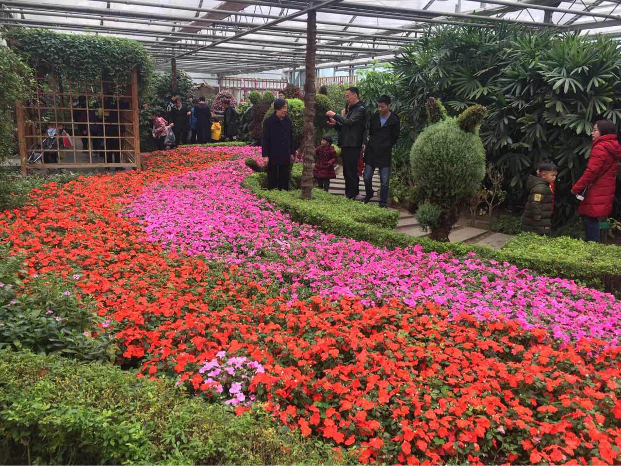 世界花卉大观园是一处观赏世界各地的花朵和植物的主题公园.