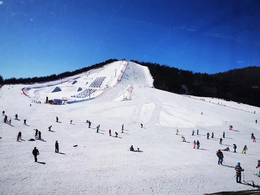 神农架滑雪场被誉为“南国滑雪胜地”，位于神农架风景区内，于2004年建成，是华中地区第一家规模最大、功能齐全、采用人工造雪和天然雪相结合的滑雪场。滑雪场紧邻209国道，景区内风景优美，设施齐全，深受广大滑雪爱好者的喜爱。