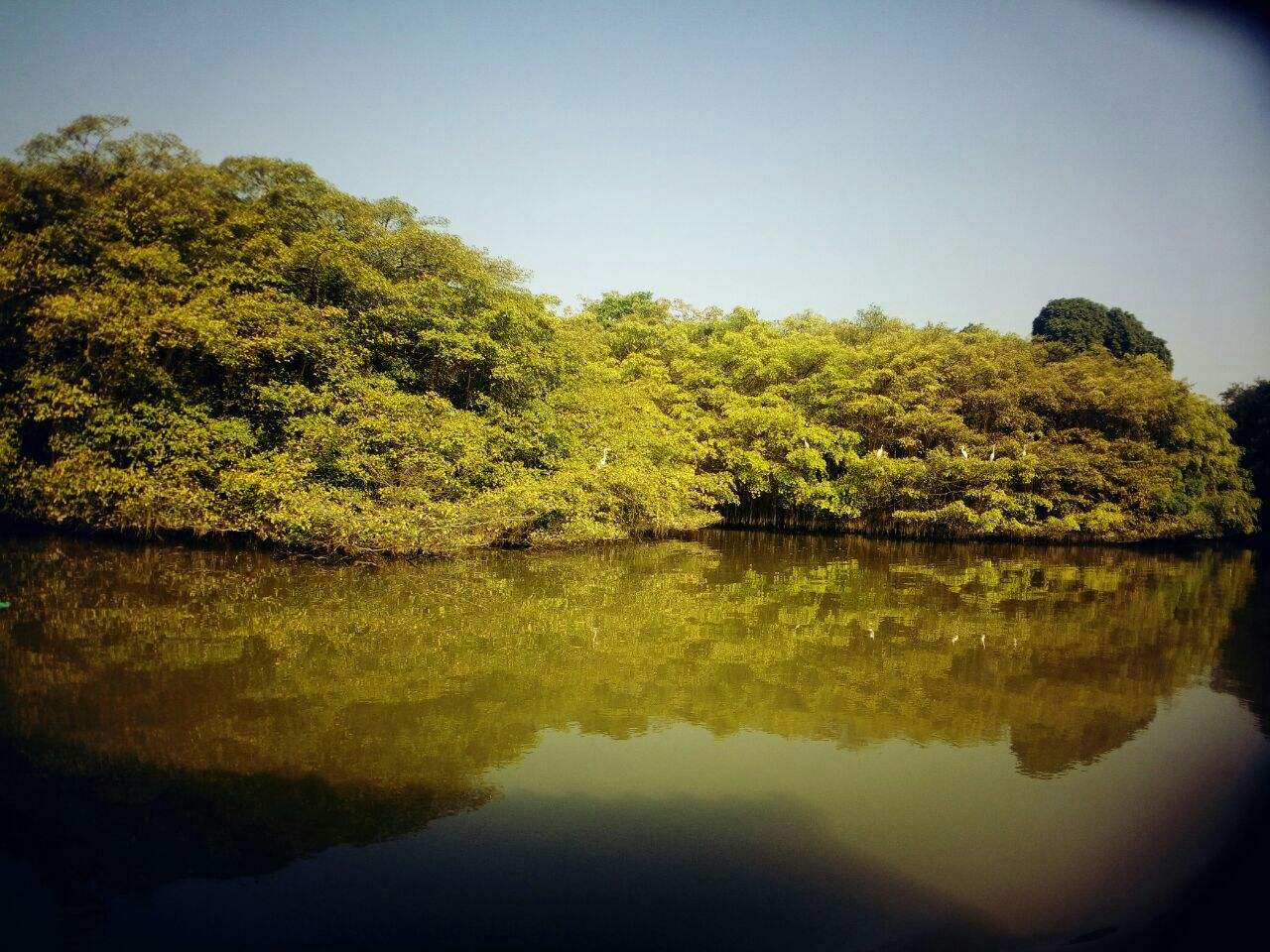 天目湖小鳥天堂