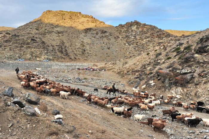【自驾游攻略】新疆之可可托海国家地质公园游记