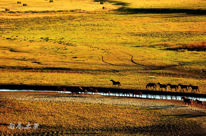 【自驾游攻略】内蒙古呼伦贝尔伊敏河湿地秋季的美景